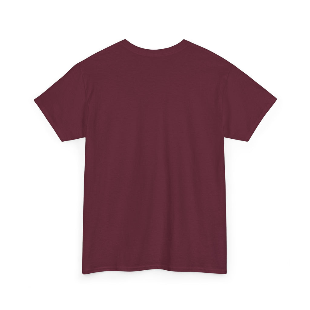 Why Not US? Patriotic Graphic Tee