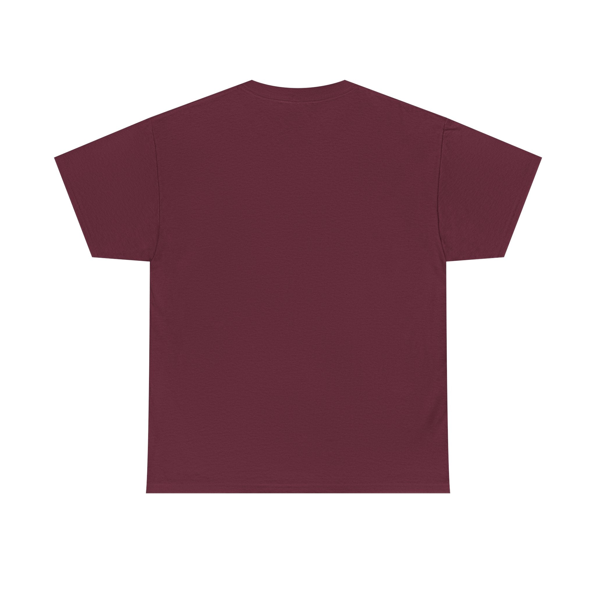 Why Not US? Patriotic Graphic Tee
