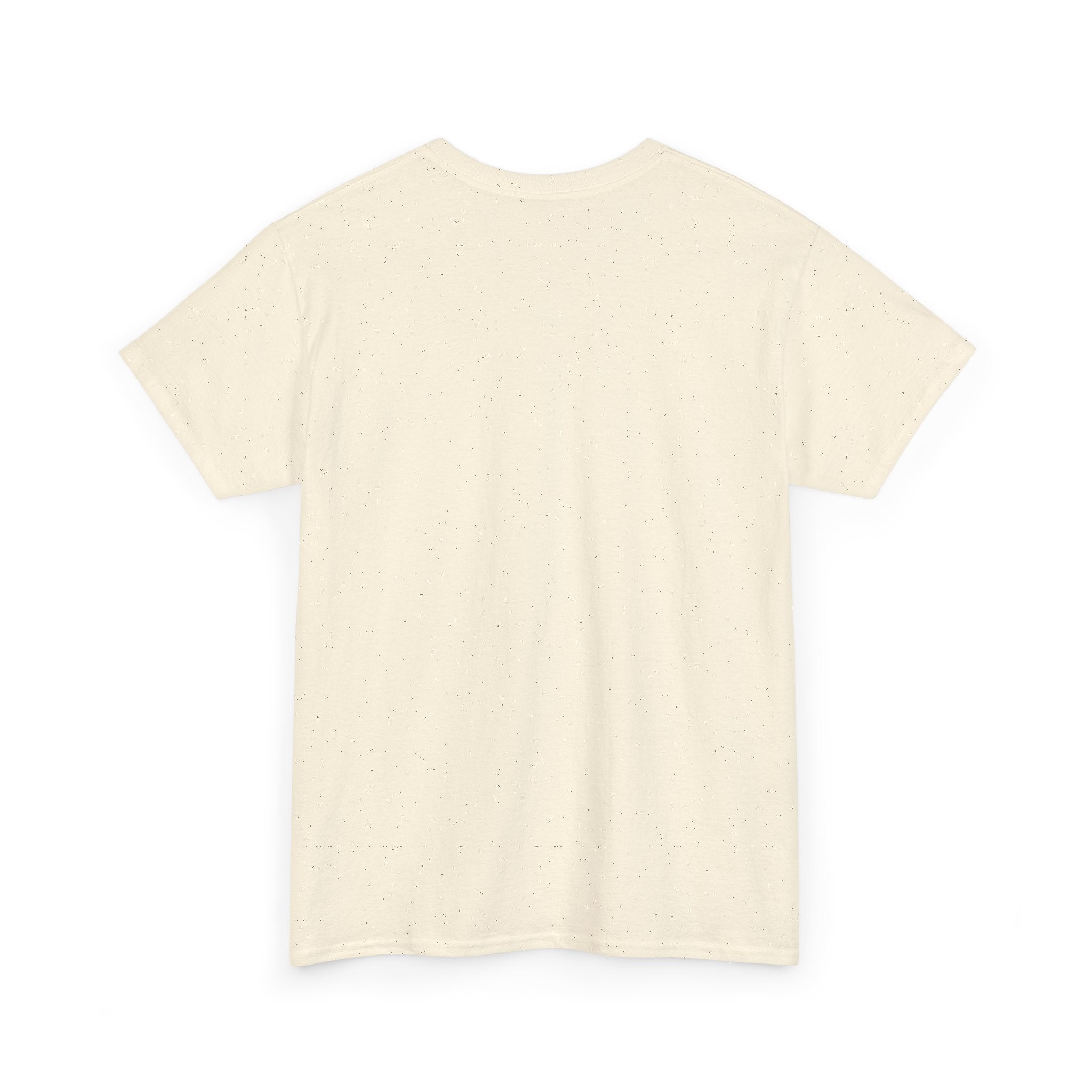 Why Not US? Patriotic Graphic Tee