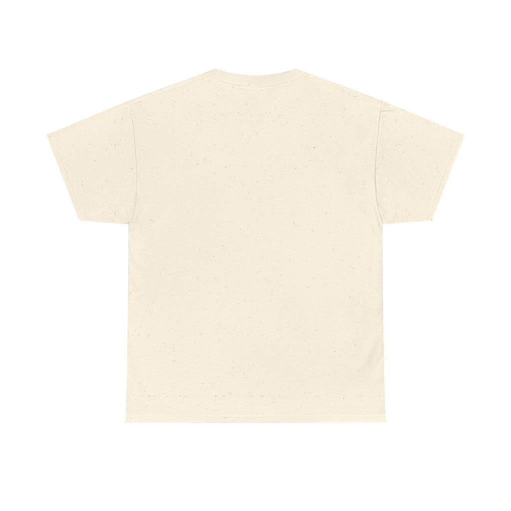 Why Not US? Patriotic Graphic Tee