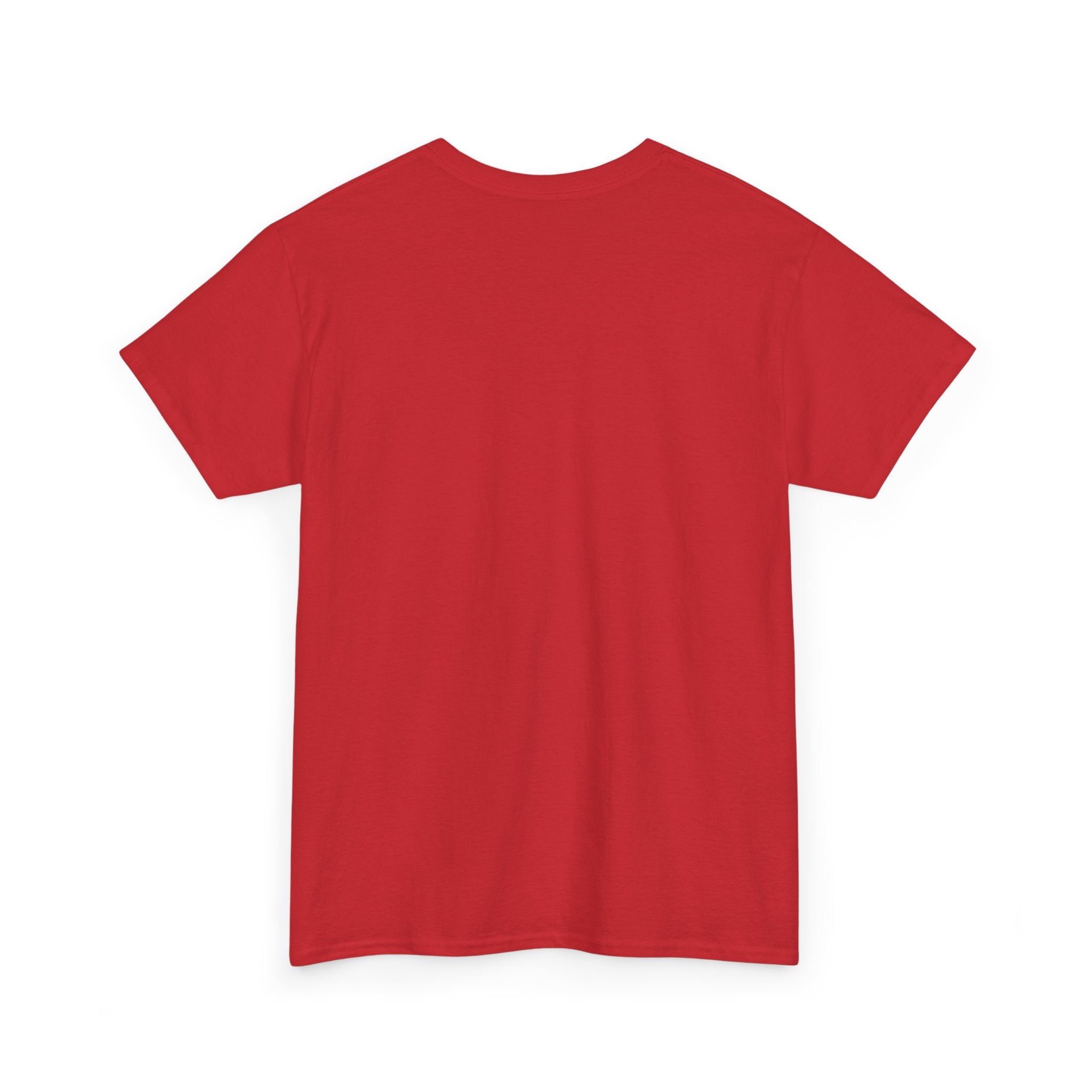 Why Not US? Patriotic Graphic Tee